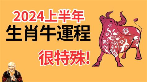 屬牛運勢|2024年屬牛人的全年運勢（超詳細）